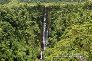 A view of Papapaitai Falls in the rain forest