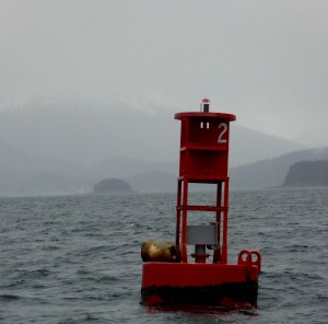 Joe got the stellar sea lion while he was barking, but I got him yawning at another rainy day in Ketchikan