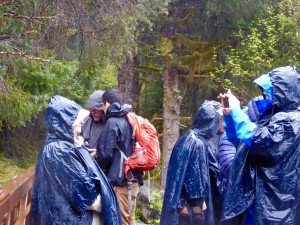 our photography group in Juneau at a park/rain forest, with ponchos to guard against the driving rain 