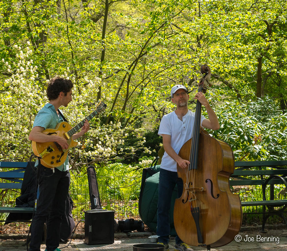 Musicians in Central Park