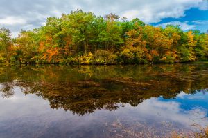 Reflections of colorful Trees in Shark River