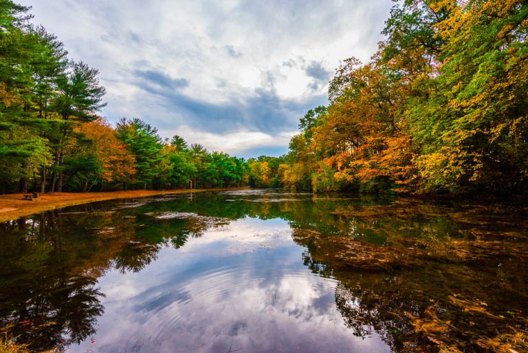 Trees with leaves turning colors on the banks of the Shark River