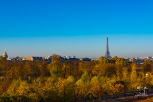 Overlooking Eiffel Tower and Tuilerie Gardens