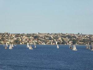sailboats in Sydney Harbour in the evening - just one slice of the view from the harbour, which is very wide....
