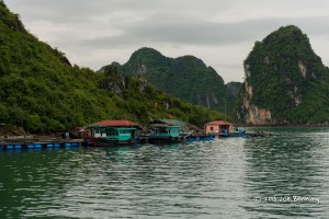 A Fishing Village on Ha Long Bay