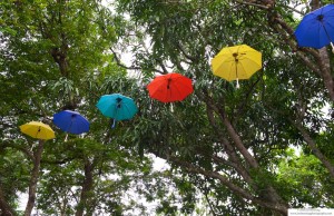 Decorative parasols on display at Java coffee house