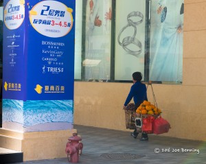 Woman Carrying Goods to Market in Xiamen