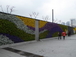 a floral wall along part of the Bund (the Shanghai embankment on the Huangpu River)