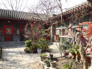 Hutong courtyard with plants and caged birds in center