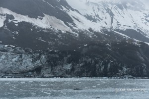 Pieces of ice in Glacier Bay