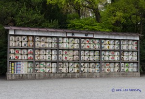 Saki Wall at the Tsurugaoka Hachimangu Shrine