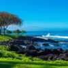 DSC4476.jpg