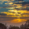 DSC4575.jpg