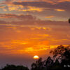 DSC4626.jpg