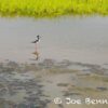 20170317-_DSC6526.jpg
