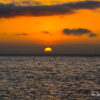 DSC4487-1.jpg