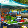 DSC5168.jpg
