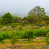 DSC5238.jpg