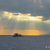 DSC5680.jpg