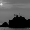 DSC6094.jpg