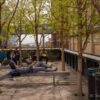 20170412-_DSC6866.jpg