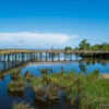 Boardwalk in Duck North Carolina