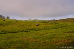 A Farm in the Virgina Countryside