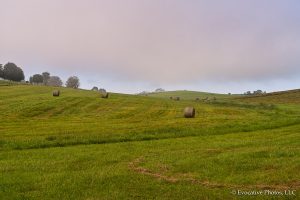 Farmland in Virginia