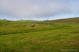 Virginia Farmland in the Morning