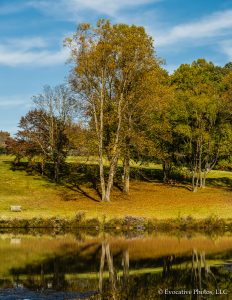 Autumn Landscape in Virginia