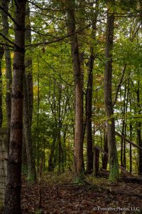 Autumn in the Shenandoah Valley