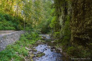 Hiking Trail in Natural Bridge Park