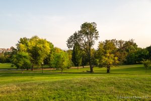 Patterson Park Landscape