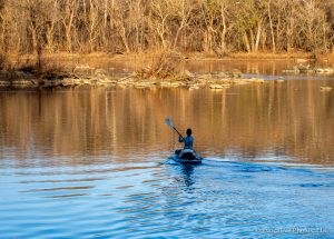 Woman Paddles a Kayak