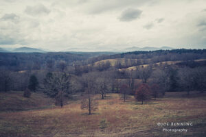 Cinematic Landscape Photo