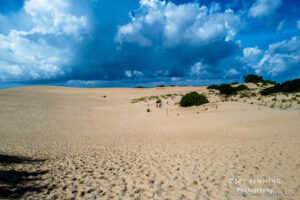 Jockey Ridge Sand Dunes 3