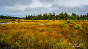 Cape Breton National Historic Park