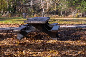 Picnic Table in the Park