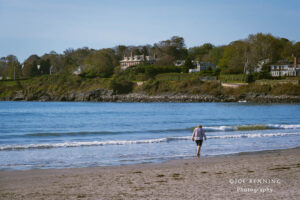 A Walk on the Beach