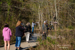 Boardwalk in Humtley Meadows