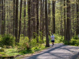 Jogger in Huntley Meadows