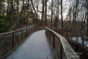 Wooden Bridge in Longwood Gardens