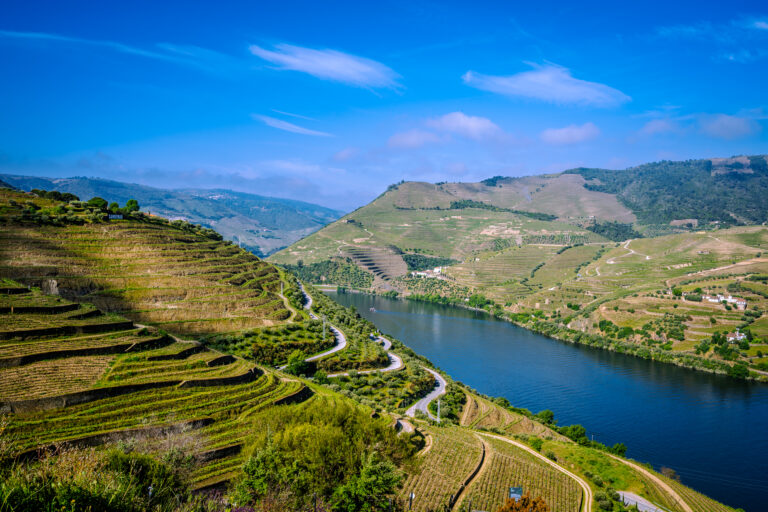 Landscape Photo of the Douro Valley, Vineyards and River