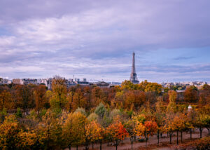 Eiffel Tower rising above autumn trees in the Tuileries Garden, Paris