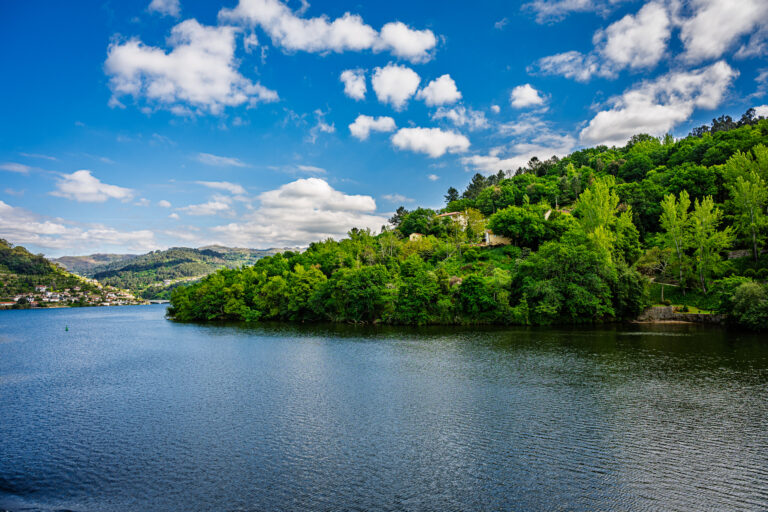 Lush Forested Shoreline Along the Douro River