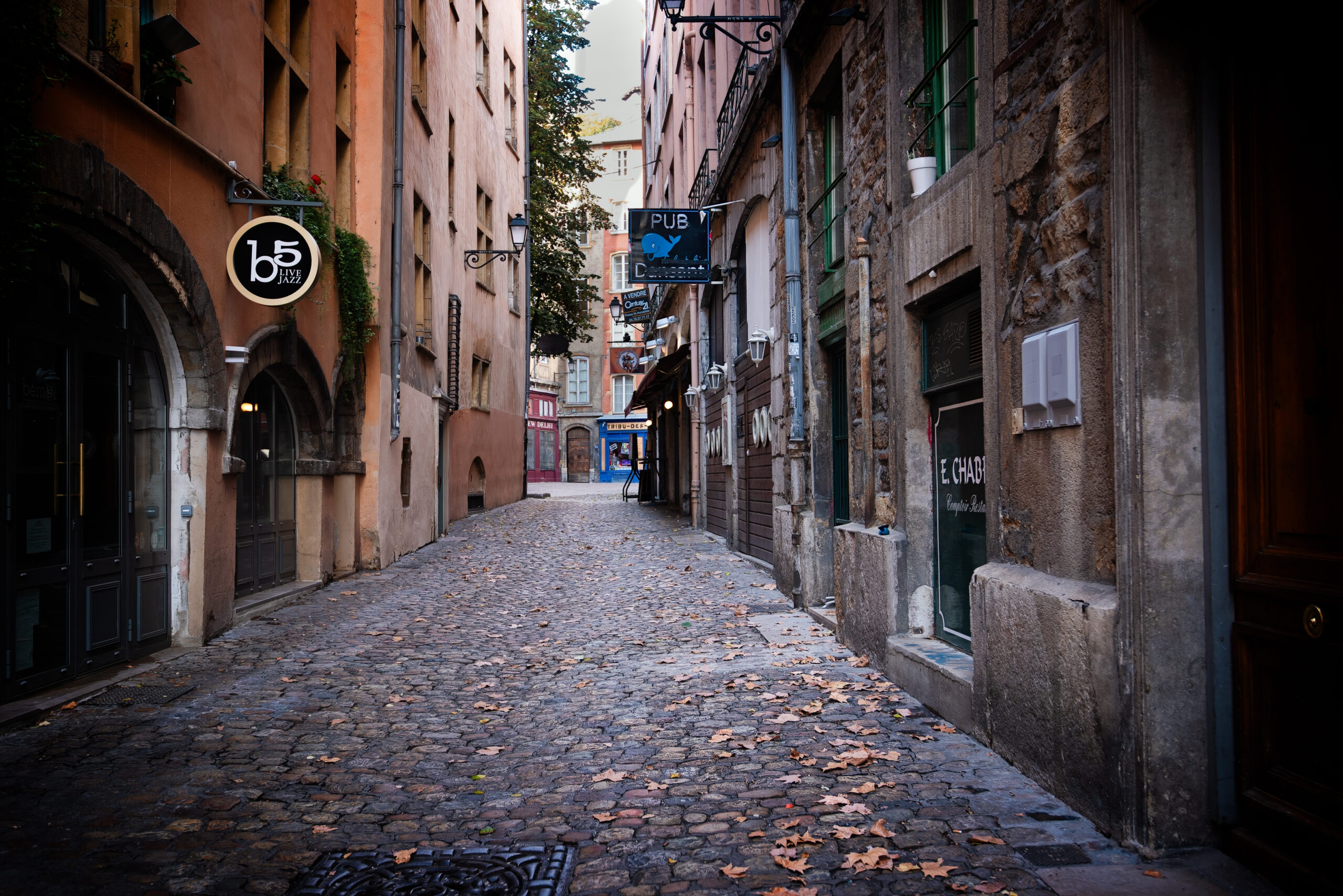 Empty cobblestone side street in Vieux Lyon, France at dusk with scattered autumn leaves