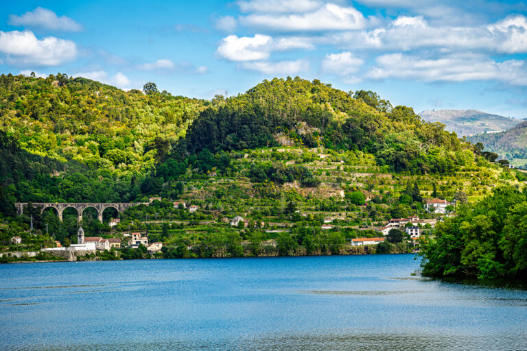 A picturesque section of the Douro Valley featuring a historic railway viaduct, forested hillsides, and tranquil river waters.
