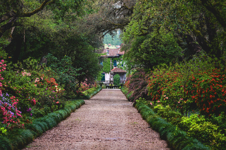 A charming garden pathway lined with vibrant flowering shrubs
