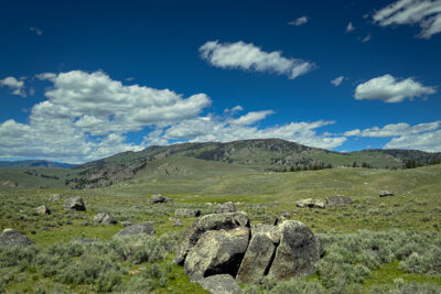 Sagebrush Prairie with Granite Boulders, Lamar Valley
