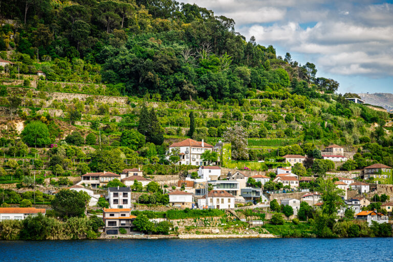 Terraced Hillside Village in the Douro Valley